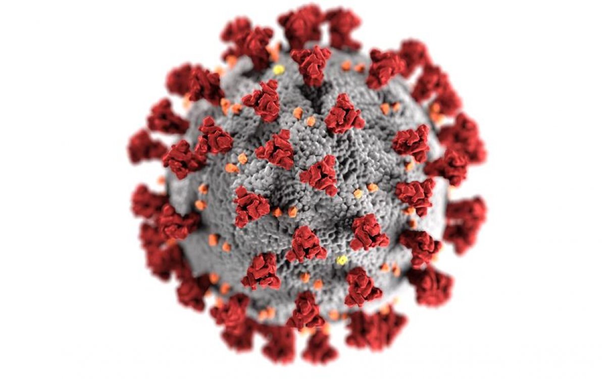 Comienza MINDCOVID, un proyecto que estudia el impacto de la pandemia COVID-19 en la salud mental